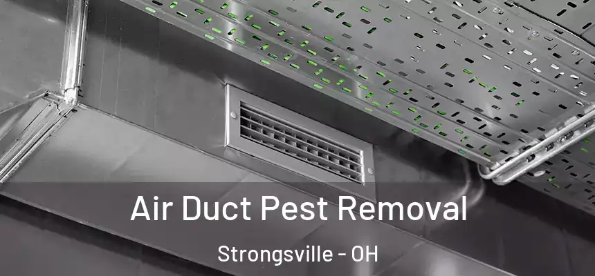  Air Duct Pest Removal Strongsville - OH