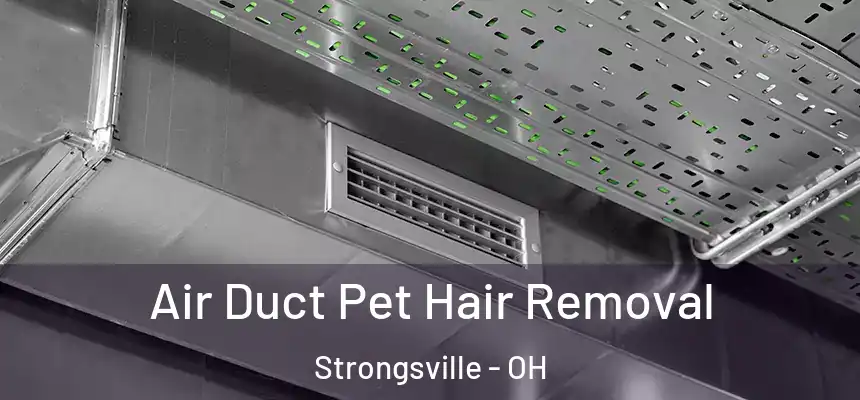  Air Duct Pet Hair Removal Strongsville - OH