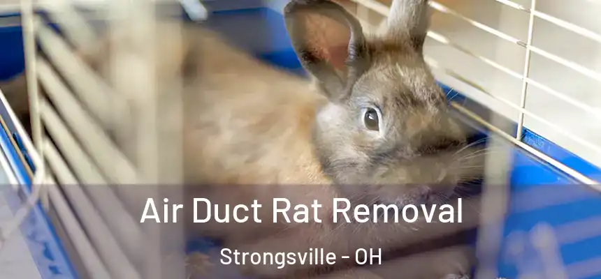  Air Duct Rat Removal Strongsville - OH