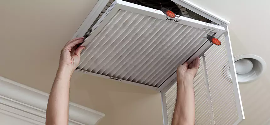 Our Insect Removal from Air Ducts Services in Strongsville, OH