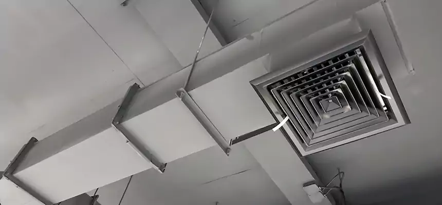 Our Rodent Droppings In Vents Services in Strongsville, OH