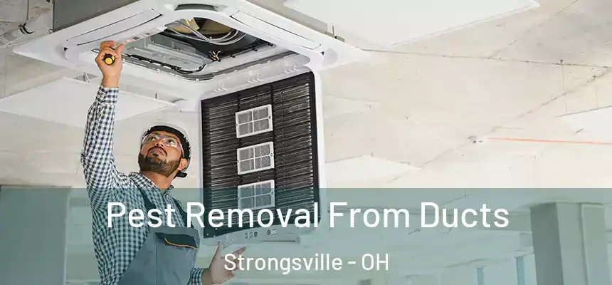  Pest Removal From Ducts Strongsville - OH
