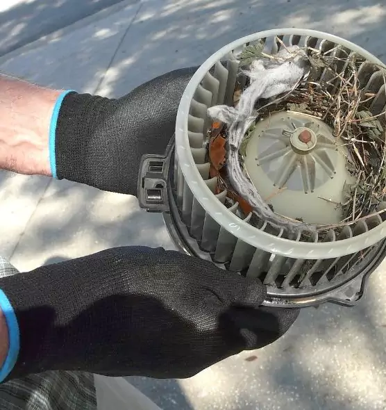 About Air Duct Mice Removal in Strongsville, OH