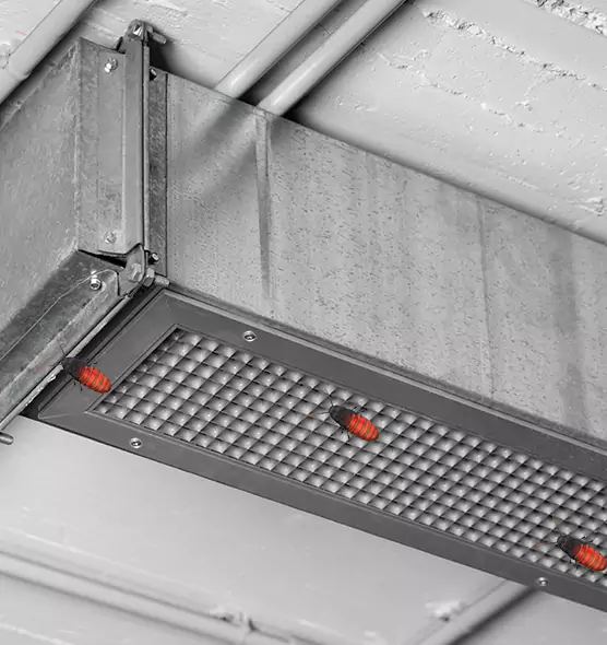 Affordable Insect Removal from Air Ducts in Strongsville, OH